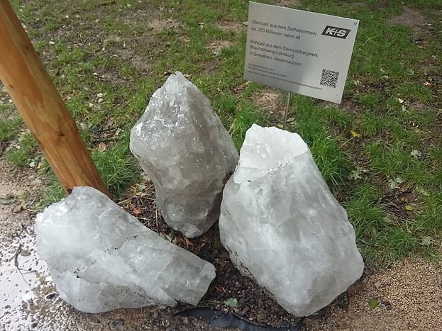 3_Salzsteine_IMG-20230729-WA0001.jpg