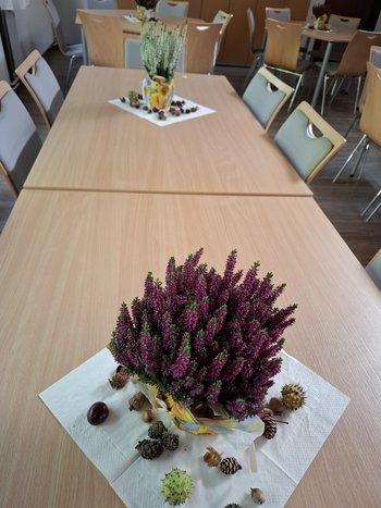 20260925_111619.jpg